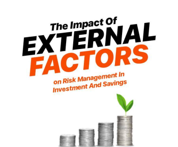 The Impact of External Factors on Risk Management in Investment and Savings